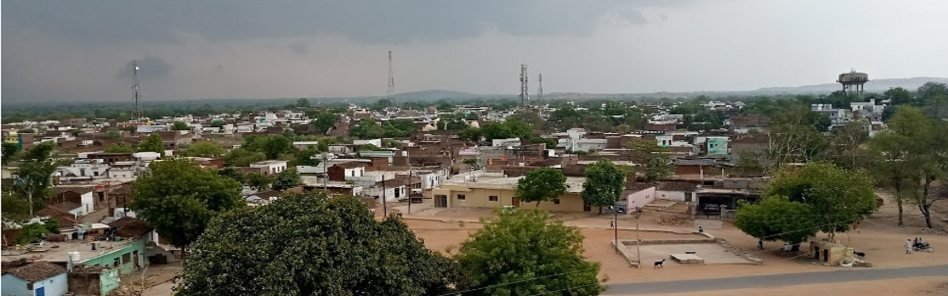 Image1